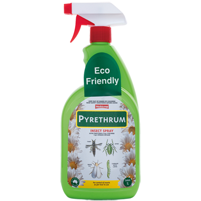 Pyrethrum RTU 1L Multicrop