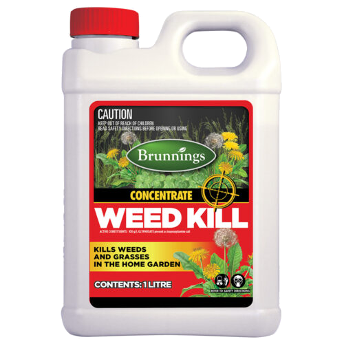 Weed Kill Concentrate 100g/L 1L