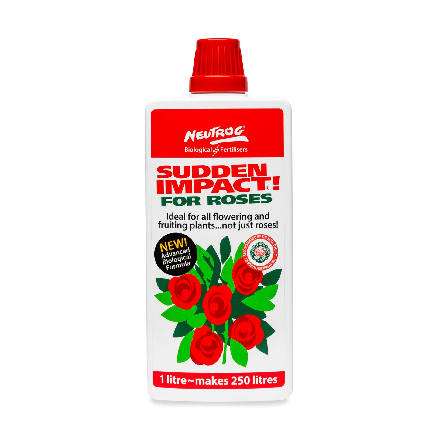 SUDDEN IMPACT FOR ROSES 1LT