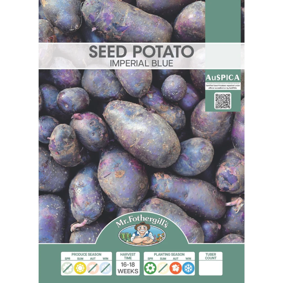 Seed Potato Imperial Blue 500g
