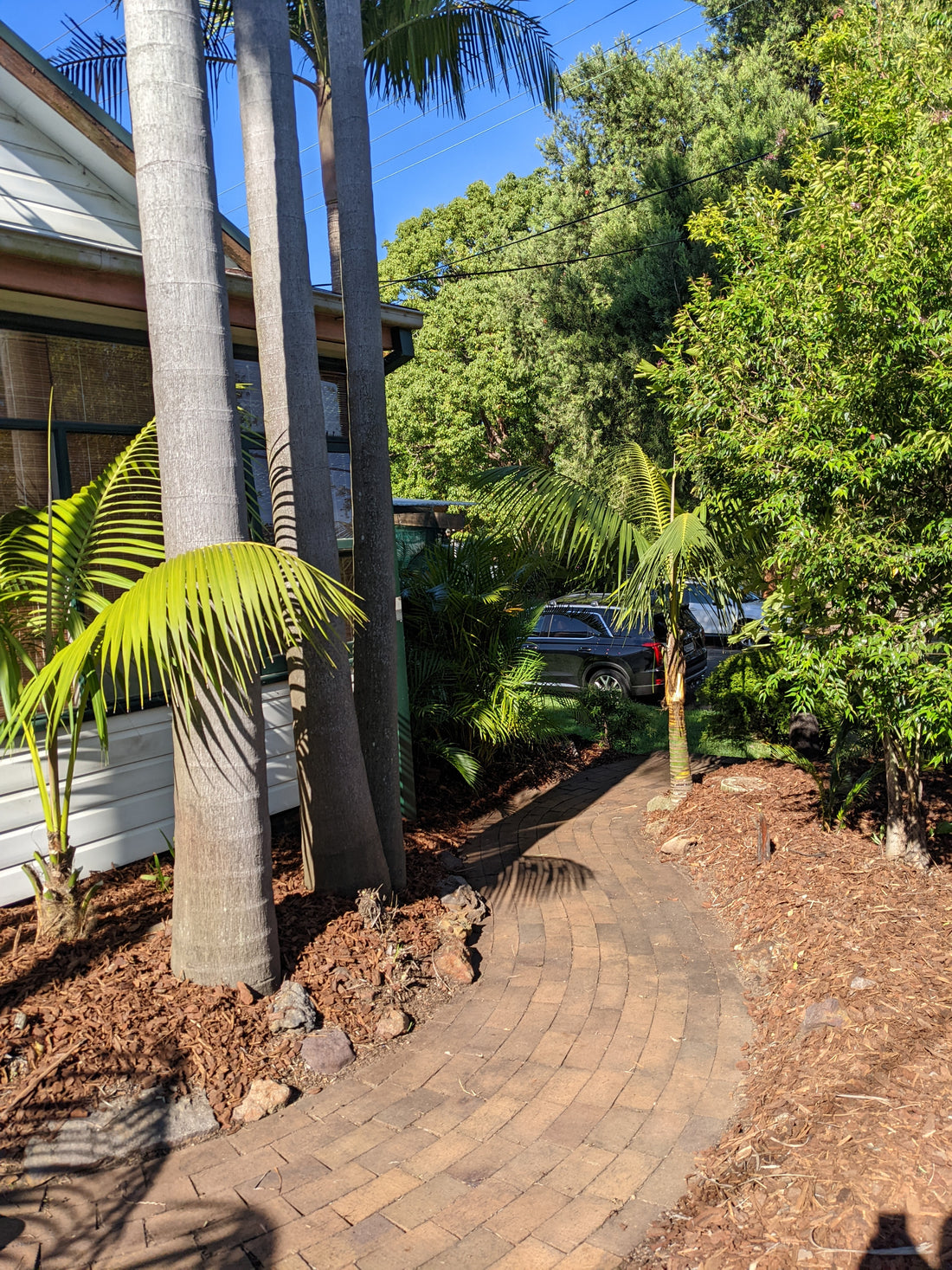 Weed and Mulch After Rain