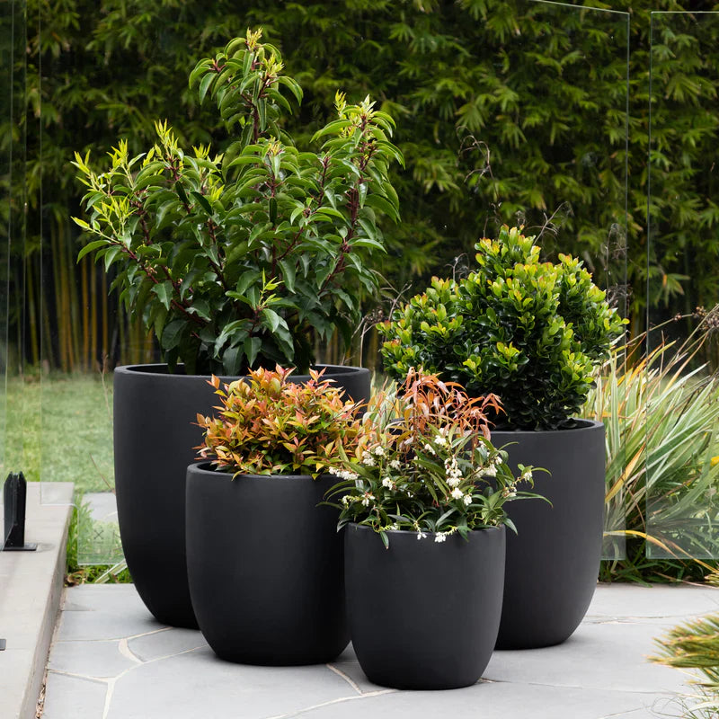 Pots & Planters