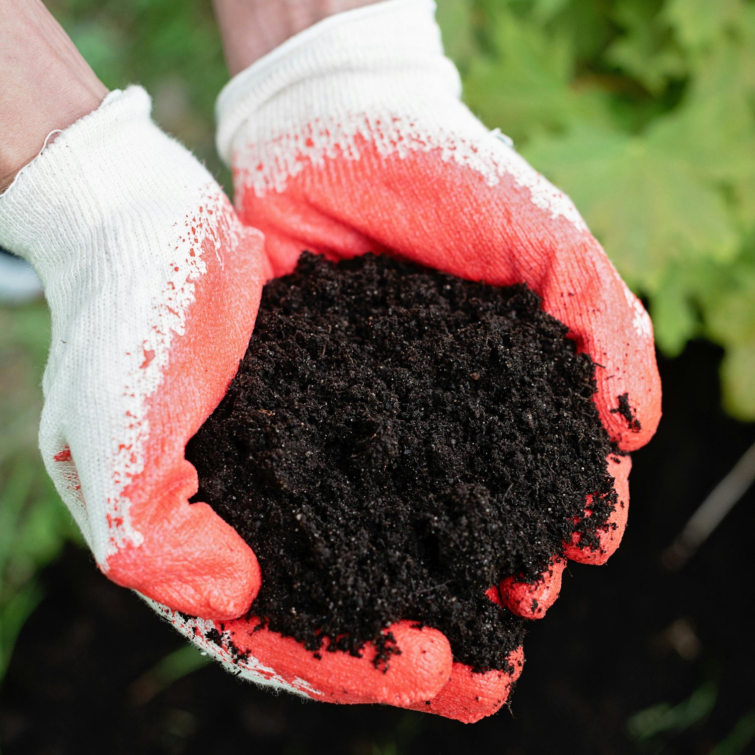 Soil & Amendments