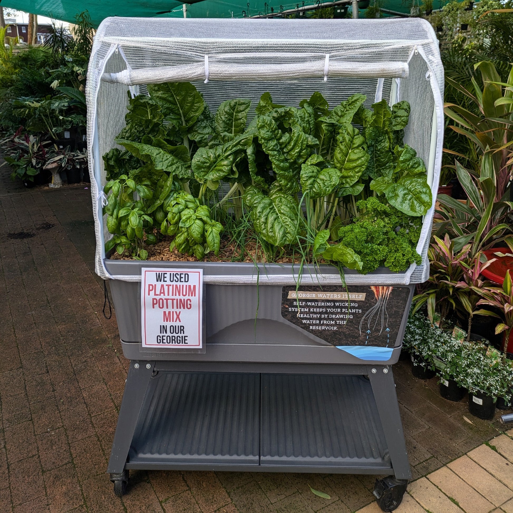 BYF Canopy, Trolley and Planter