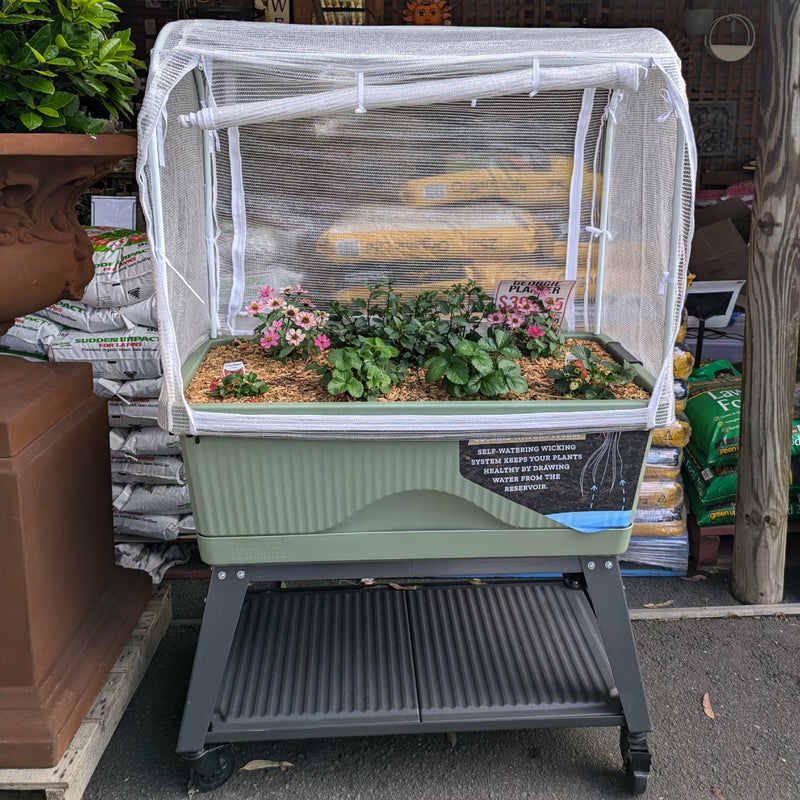 The full Georgie set in green, planted up at Altra Nursery