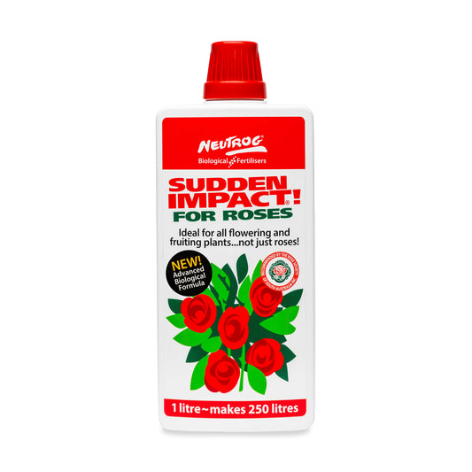 SUDDEN IMPACT FOR ROSES 1LT