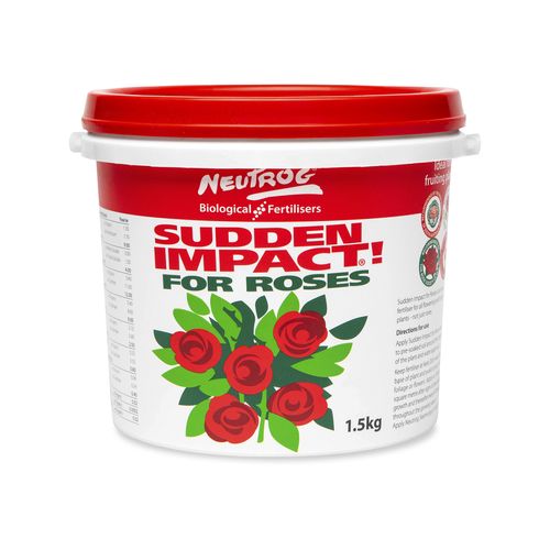 Sudden Impact 500G