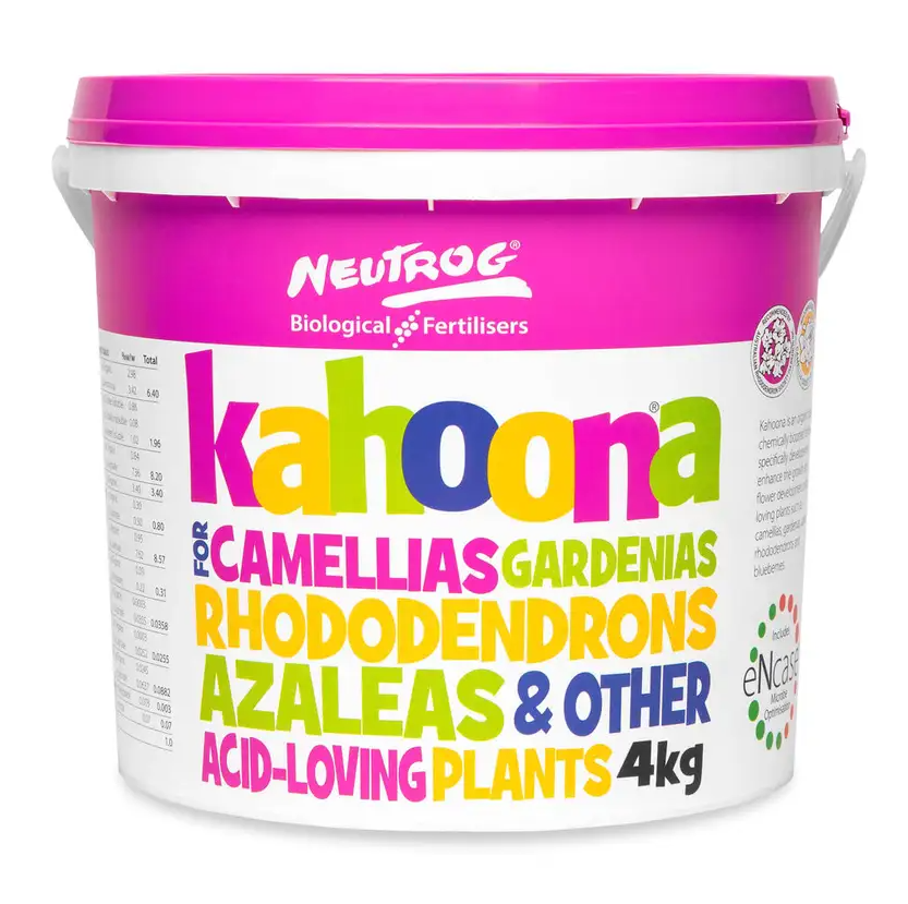 KAHOONA 1.5KG