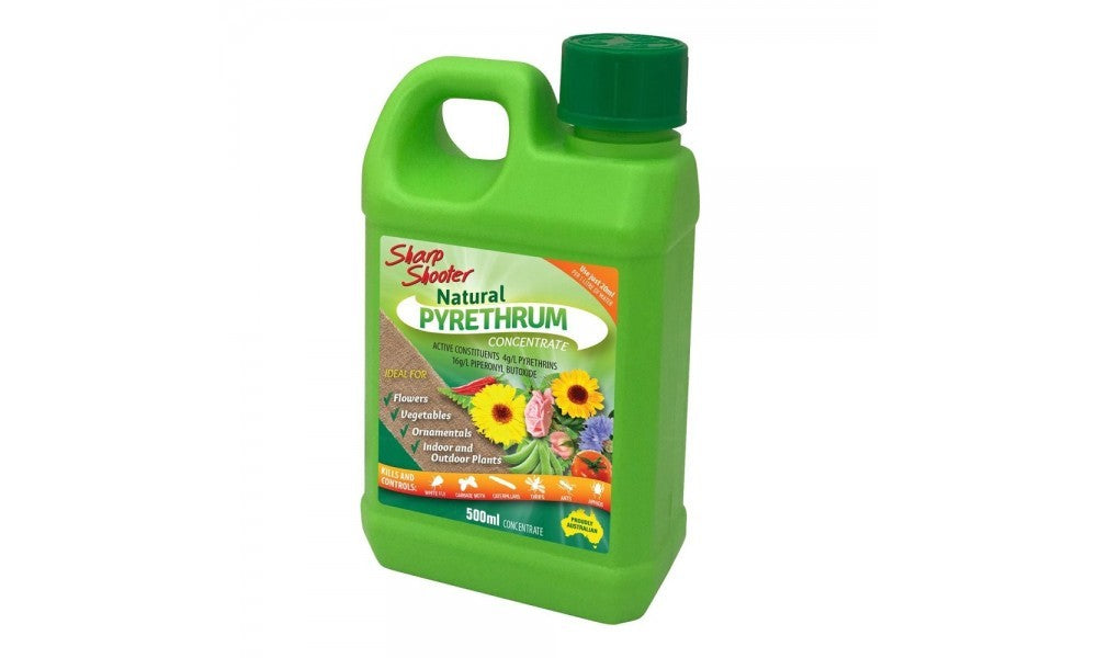 PYRETHRUM CONC 500ML