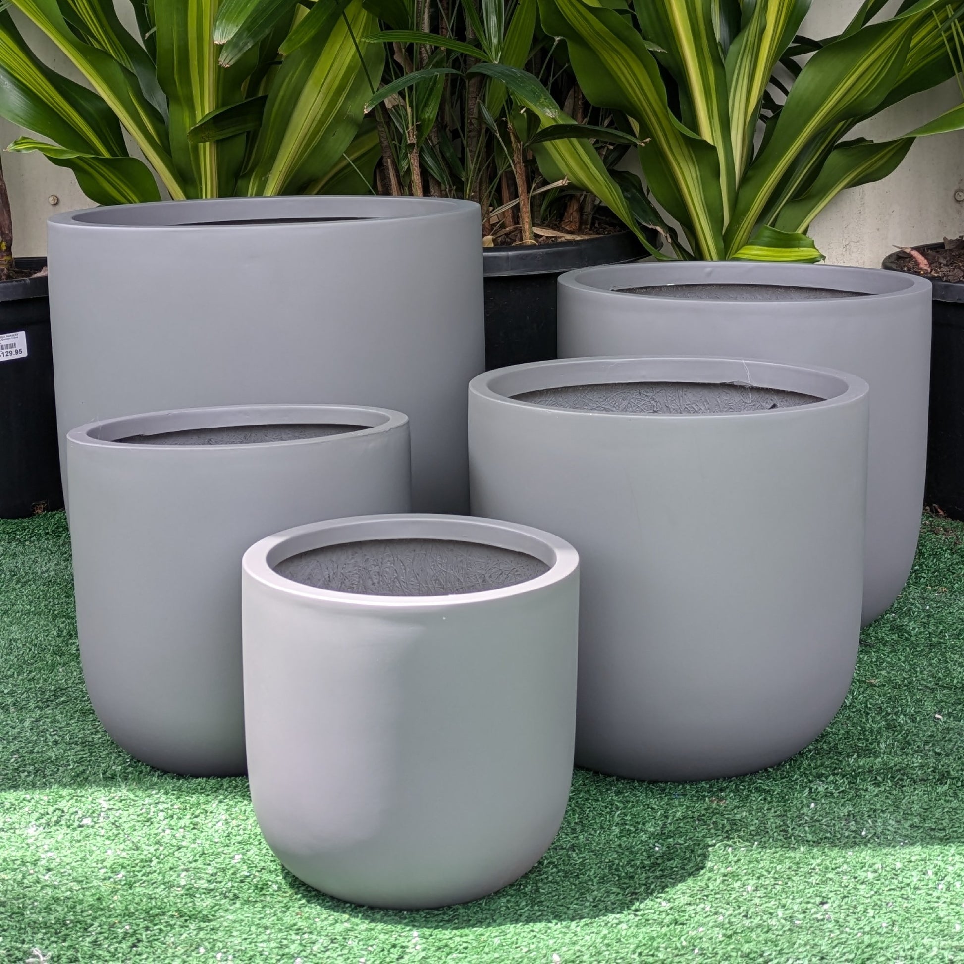 Winter Egg [Size:Medium Finish:Grey]