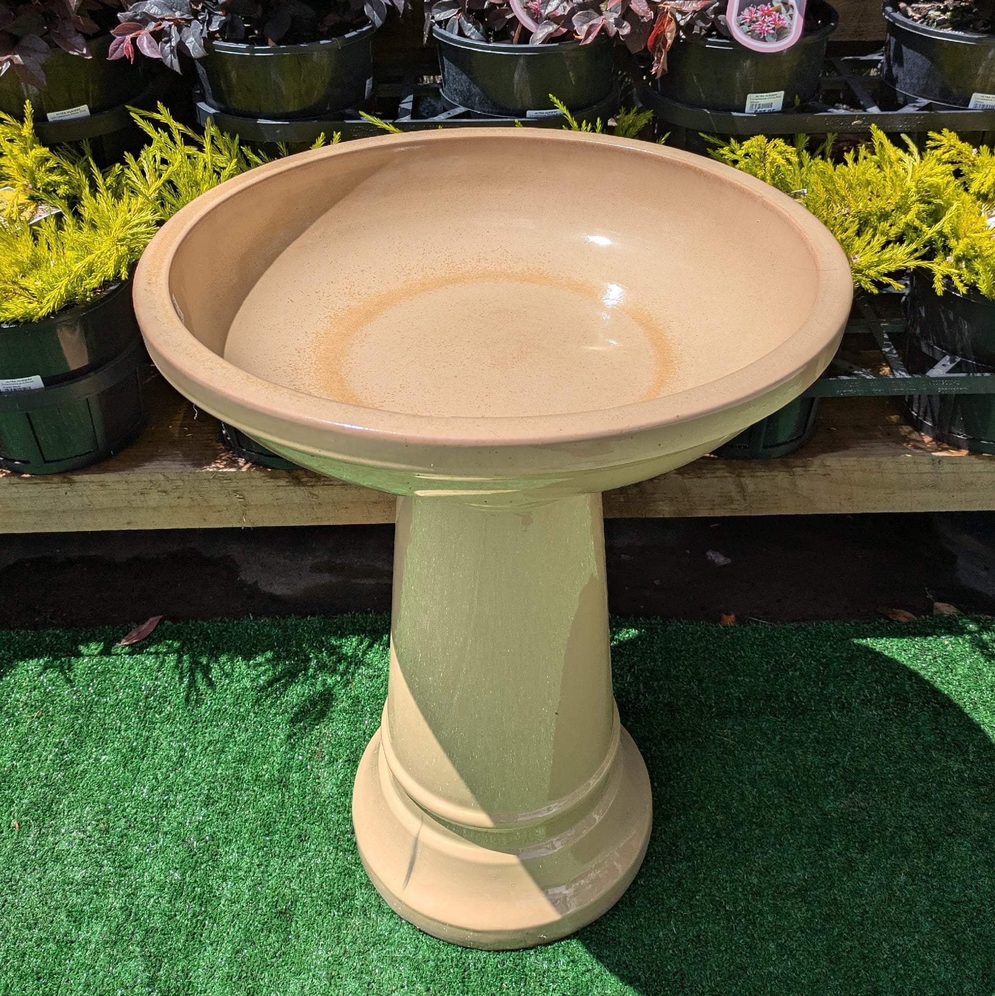 Grafton Bird Bath [Size:Standard Finish:Cream]