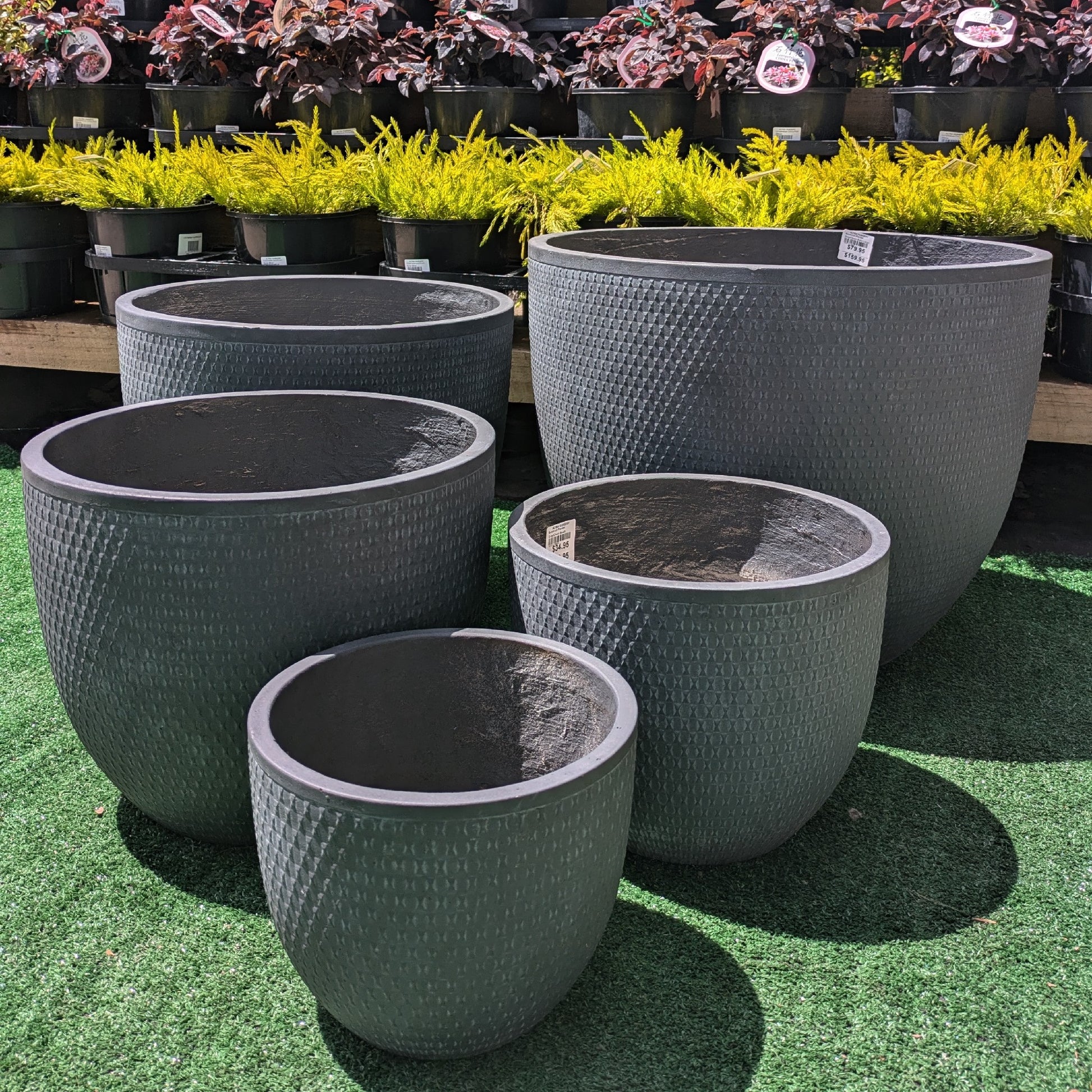 Bowknot Planter [Size:Medium Finish:Grey]