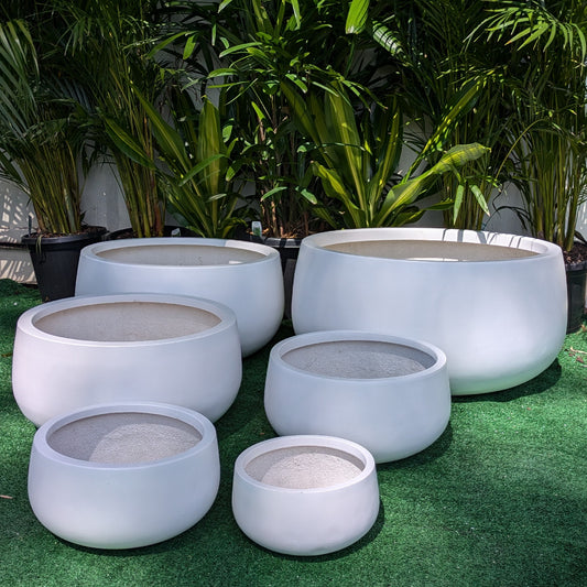 Andy Bowl [Size:Medium Finish:Pure White]