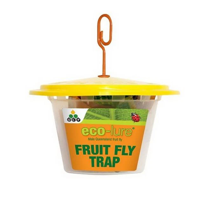 ECO NATURALURE FRUIT FLY TRAP