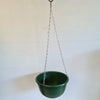 Hanging Basket 20cm Grecian Green