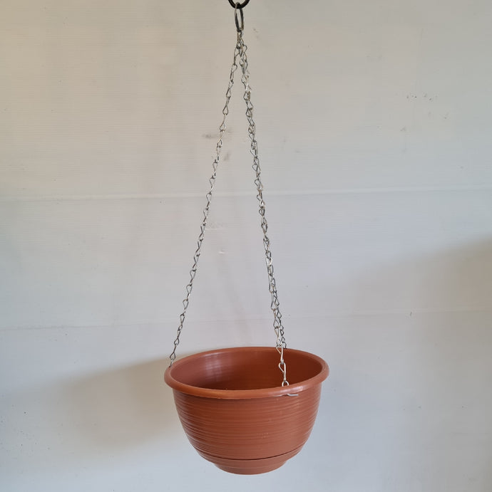 Hanging Basket 20cm Grecian Terracotta
