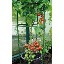 Load image into Gallery viewer, TOMATO CAGE
