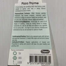 Load image into Gallery viewer, Thyme Pizza Herb 100mm
