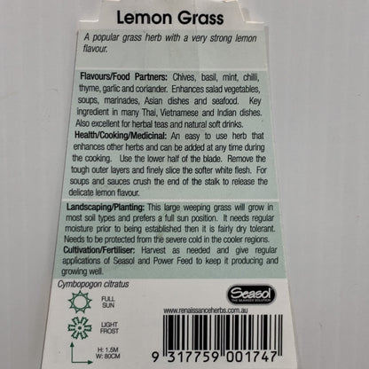 Lemon Grass Herb 100mm