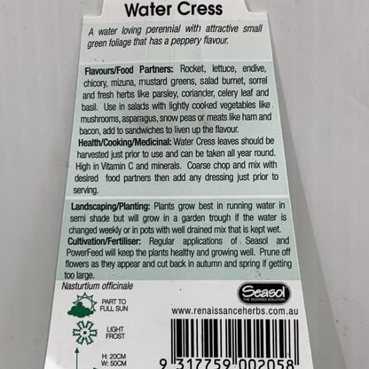 Water Cress 100mm