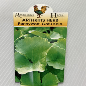 Arthritis Herb 100mm