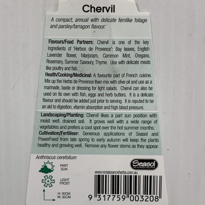 Chervil Herb100mm