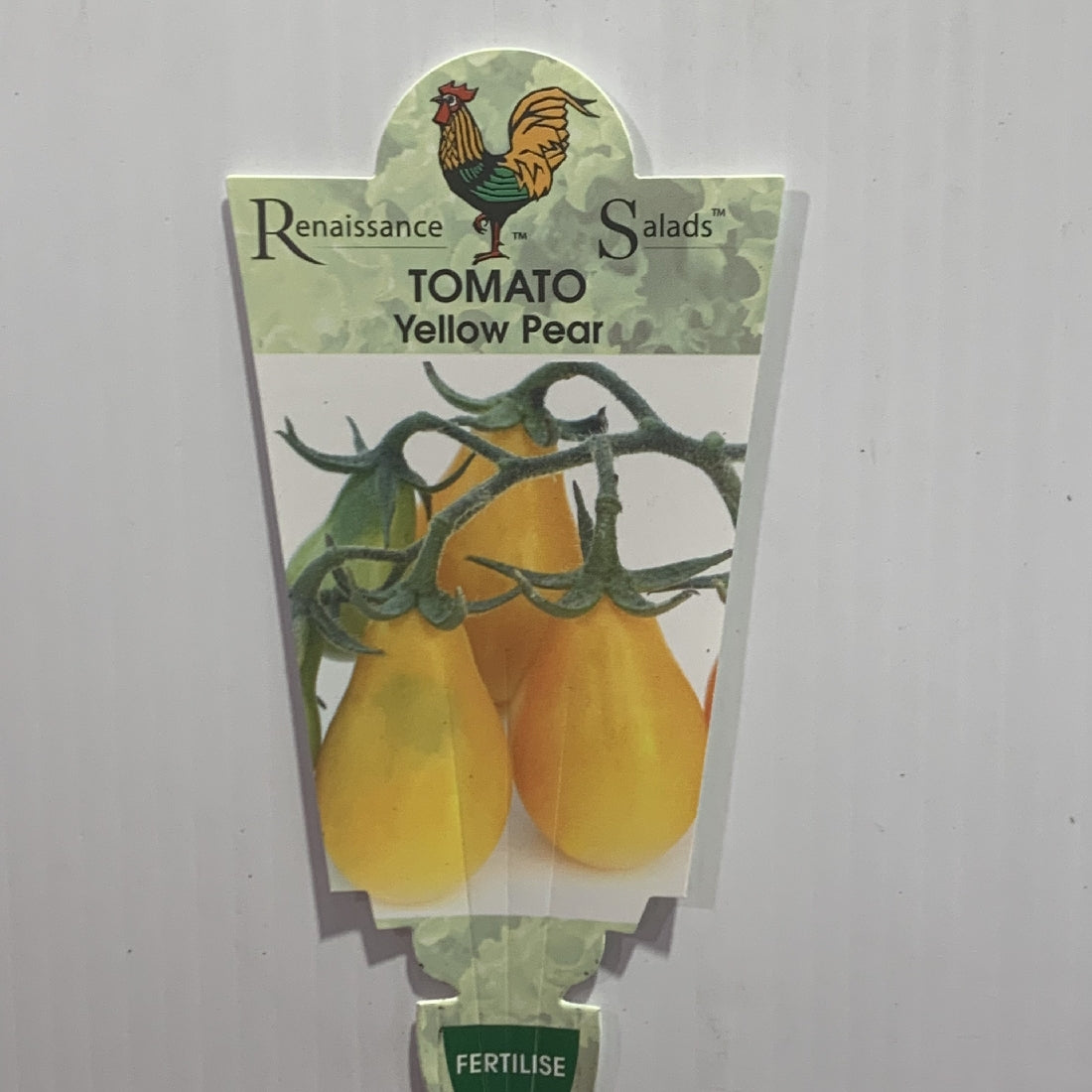 Tomato Yellow Pear 100mm