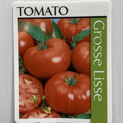 Tomato Grosse Lisse 100mm