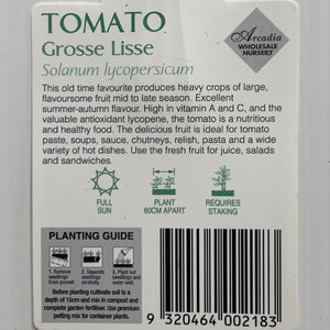 Tomato Grosse Lisse 100mm