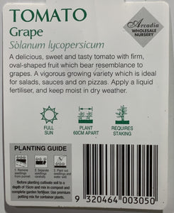 Tomato Grape 100mm 2