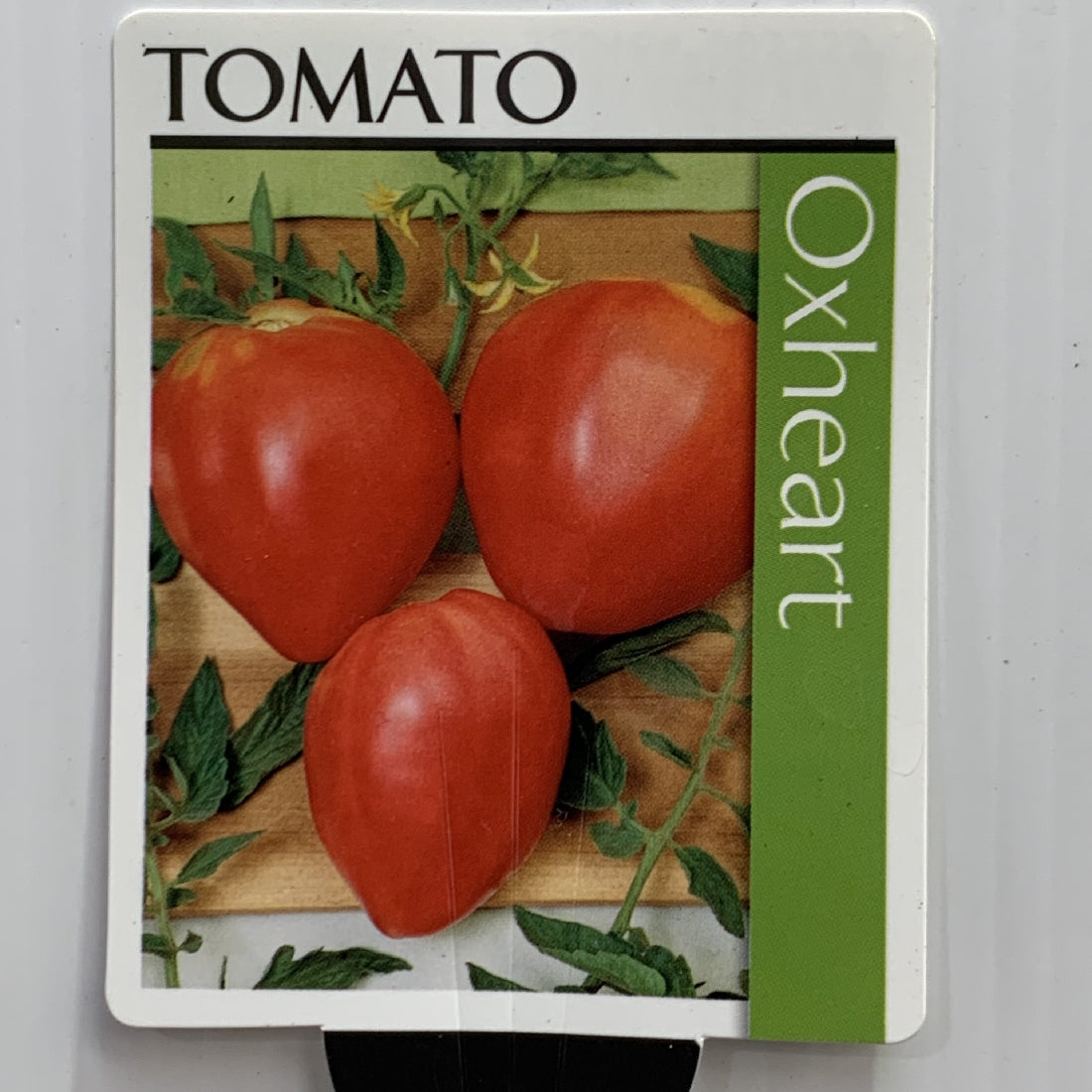 Tomato Ox Heart 100mm