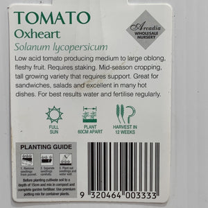 Tomato Ox Heart 100mm