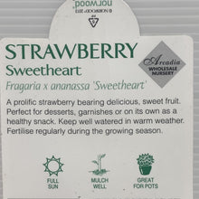 Load image into Gallery viewer, Strawberry Sweetheart 100mm
