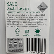 Load image into Gallery viewer, Kale Tuscan Black Seedlings
