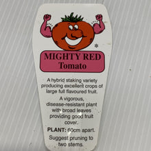 Load image into Gallery viewer, Tomato Mighty Red Seedlings
