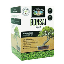 Load image into Gallery viewer, Bonsai Kit-Pine Seeds
