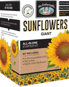 Giant Sunflower starter kit Seeds