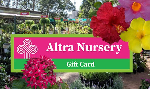 Altra Nursery Gift Card